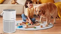 布局寵物賽道，空氣凈化器行業找到“流量密碼”